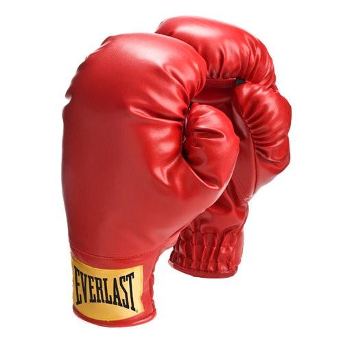 Everlast MMA Kick Boxing Gloves